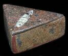 Fossil Orthoceras Box (Triangle) - Stoneware #35280-1